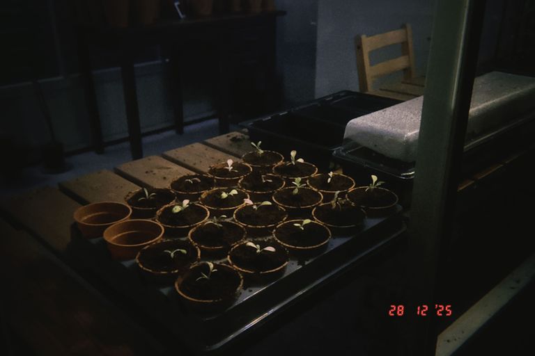 Artwork from project Studio and Life